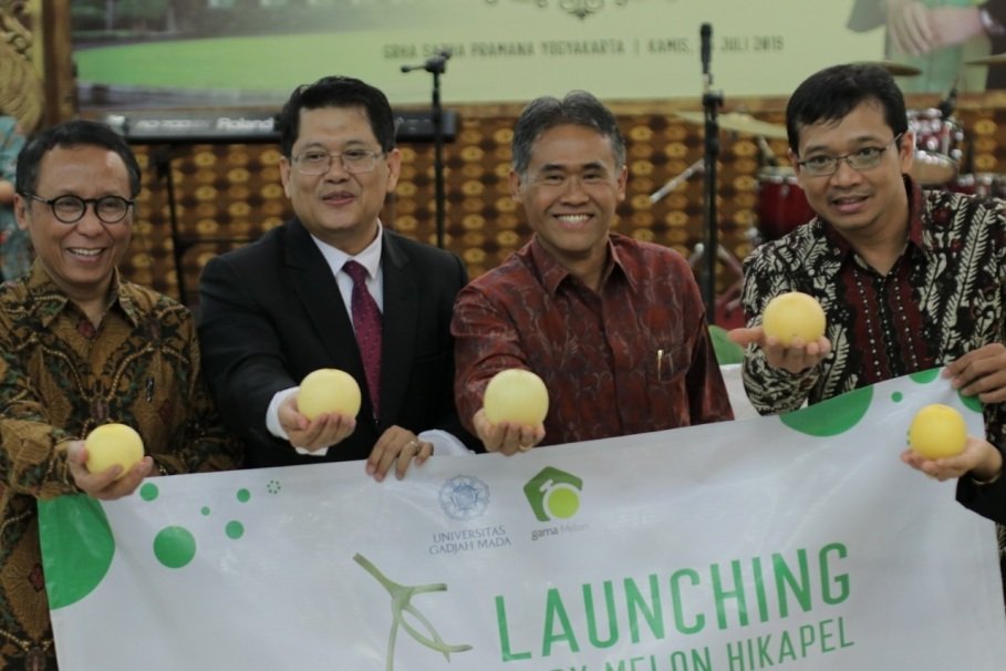 UGM Luncurkan Baby Melon Hikapel Seukuran Apel - Technology Indonesia