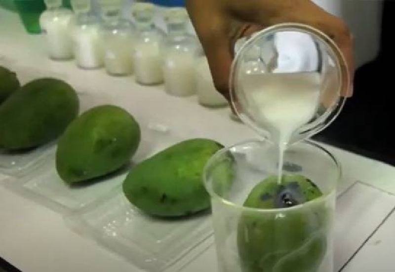 Teknologi Coating Dari Produk Turunan Sawit Perpanjang Umur Simpan Buah