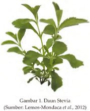 Stevia Berpotensi Menjadi Tebu Alternatif