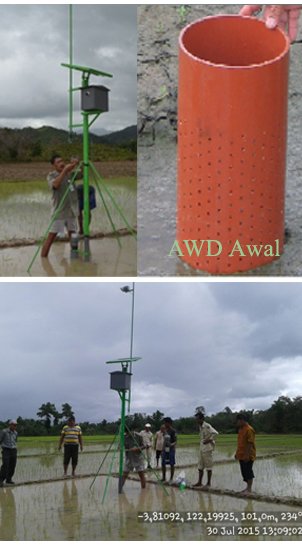 Balitbangtan Kenalkan AWD untuk Mengontrol Ketersediaan Air Sawah