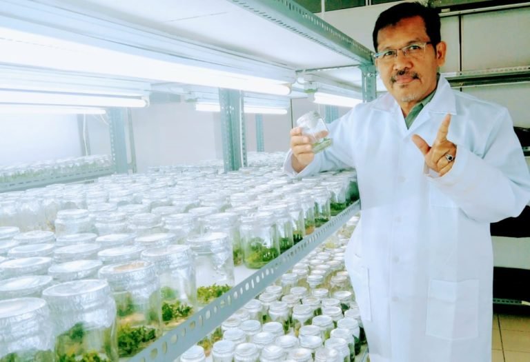 Dr. Ali Husni, Orang Pertama Aplikasikan Bioteknologi Selular Hibrida Somatik di Indonesia