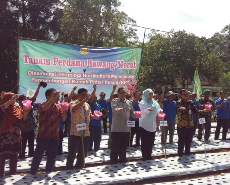 BPTP Banten Gelar Tanam Perdana Bawang Merah Bersama Bupati Pandeglang