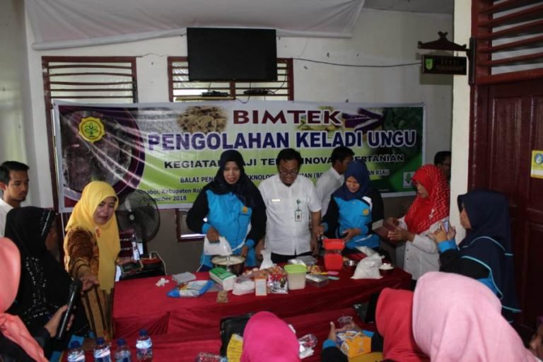 BPTP Riau Latih Petani Olah Keladi Ungu