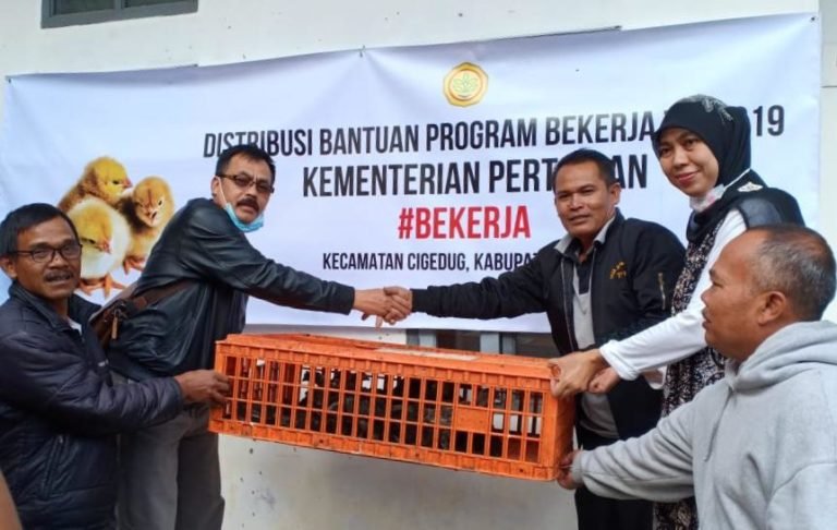 Pembagian 7.200 Ekor Ayam KUB Tandai Dimulainya Penyaluran Program Bekerja 2019
