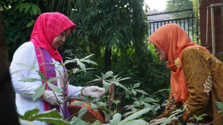 Gaungkan Kemandirian Pangan Keluarga, OASE Sambangi BPTP Balitbangtan DKI Jakarta