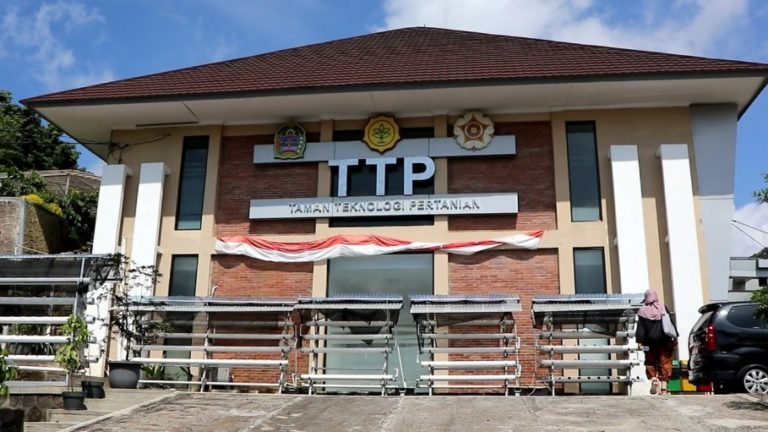 TTP Nglanggeran Bangun Bisnis Kakao di Gunung Purba, Yogyakarta
