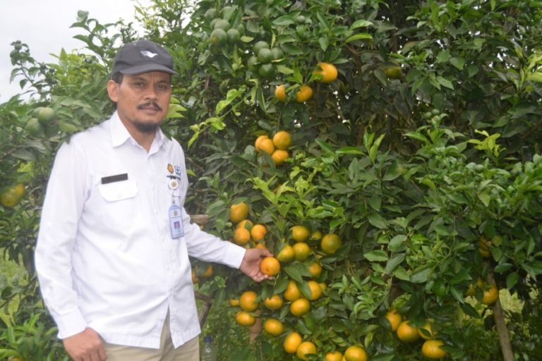 Inisiasi Korporasi, Langkah Awal Penguatan Kelembagaan Petani