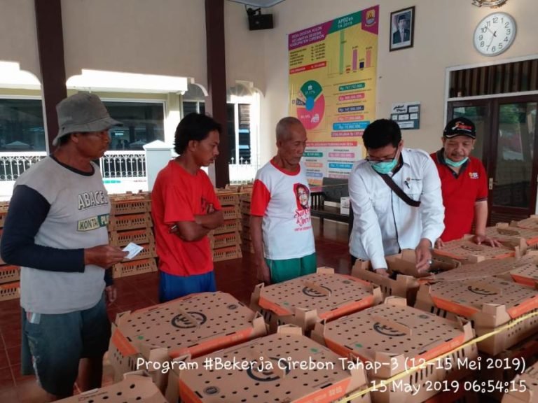 Saat Ramadan, Kementan Sebar Ayam KUB di Cirebon dan Subang