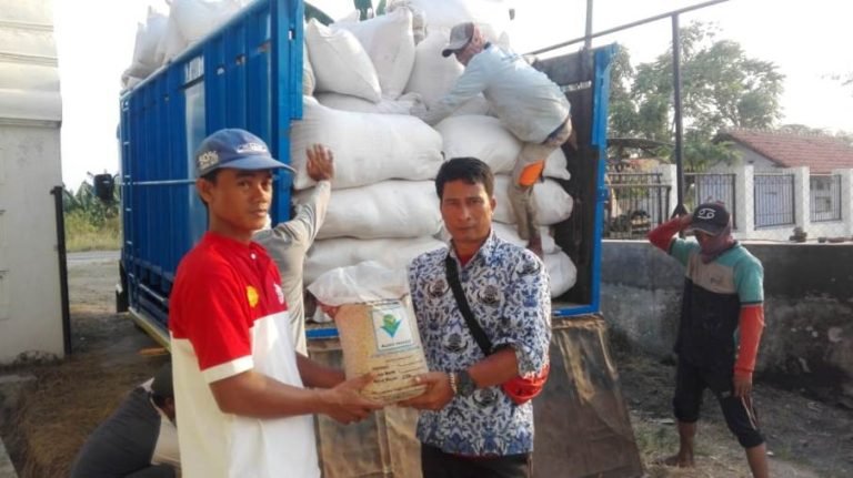 BPTP Banten Distribusikan Bantuan Benih Padi VUB Balitbangtan