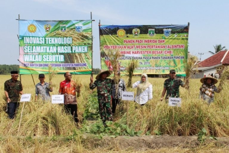 BPTP Banten dan Bupati Pandeglang Kunjungi Sentra Produksi Padi