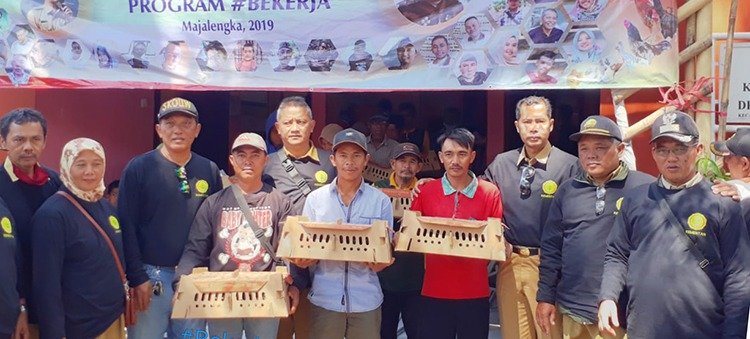 Distribusi Bantuan Ayam di Kecamatan Maja Masuki Tahap Akhir