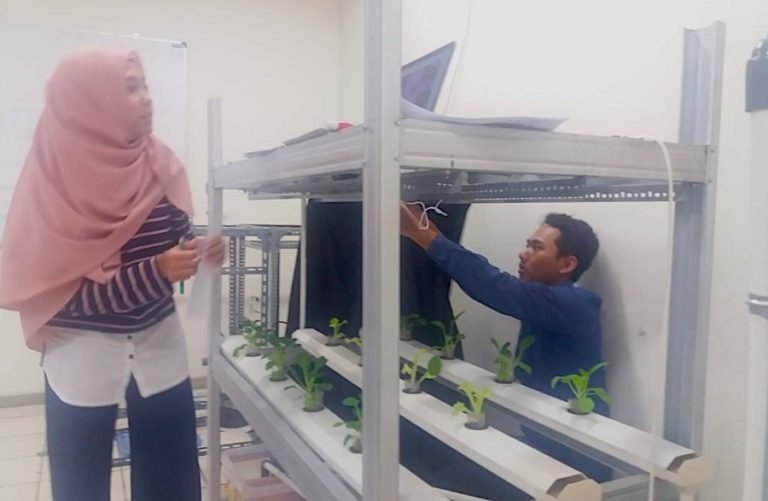 Mahasiswa UGM Kembangkan Sistem Monitoring Tumbuh Kembang Tanaman