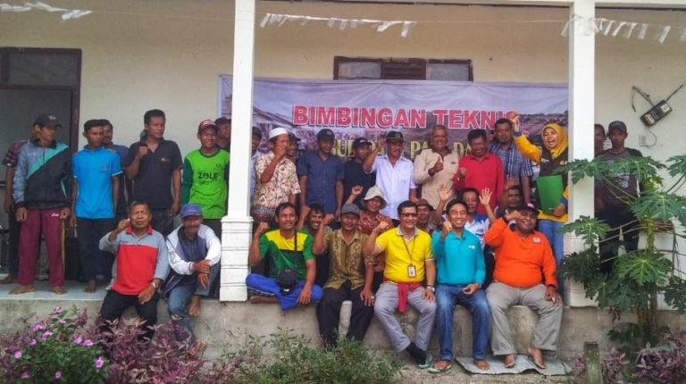 Sukseskan Program Serasi, Balitbangtan Gelar Bimtek Budidaya Padi Lahan Rawa di Musi Banyuasin