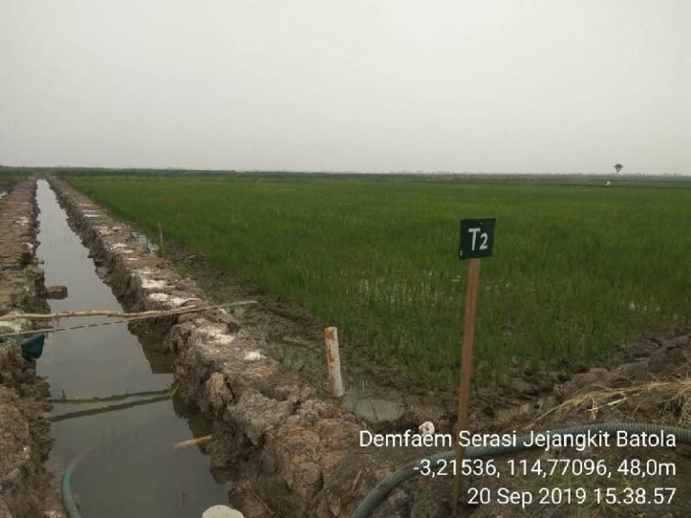 Balitbangtan Contohkan Tata Kelola Air Cerdas di Demfarm Jejangkit, Kalsel