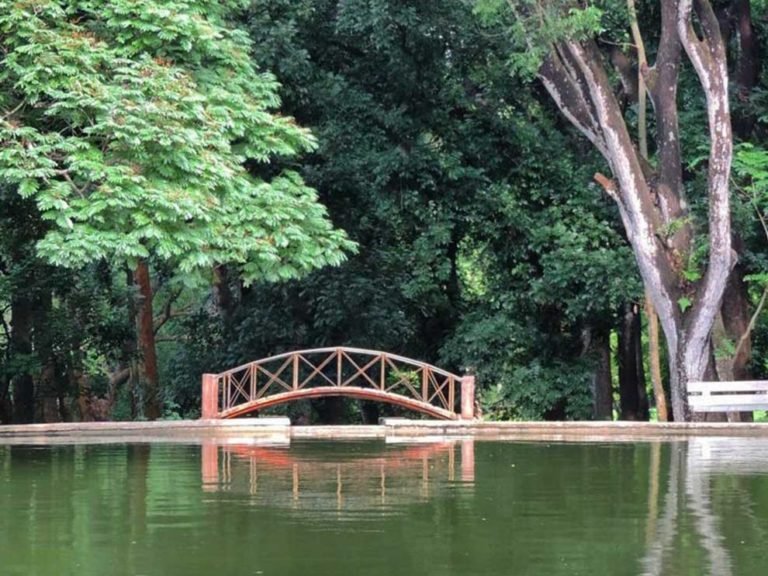 Gelar Festival 79 Tahun Kebun Raya Purwodadi, LIPI Komitmen Naungi Flora Endemik Nusantara