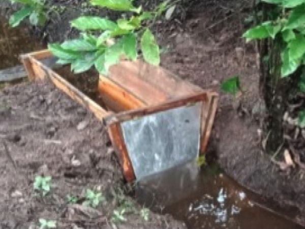 Perbaiki Produktivitas Kopi Liberika di Desa Berata, Balittri Bangun 10 Pintu Air