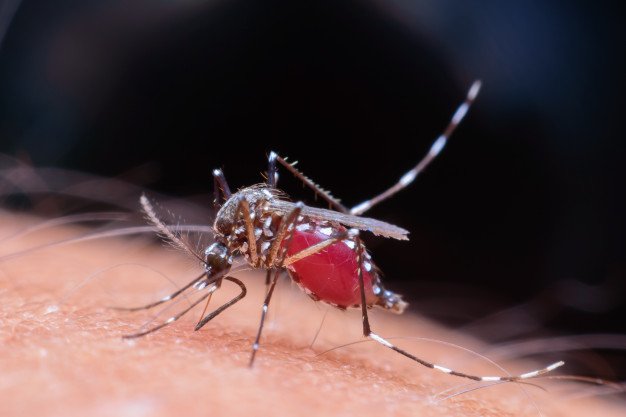 Peneliti UGM Kembangkan Alat Deteksi Virus Dengue