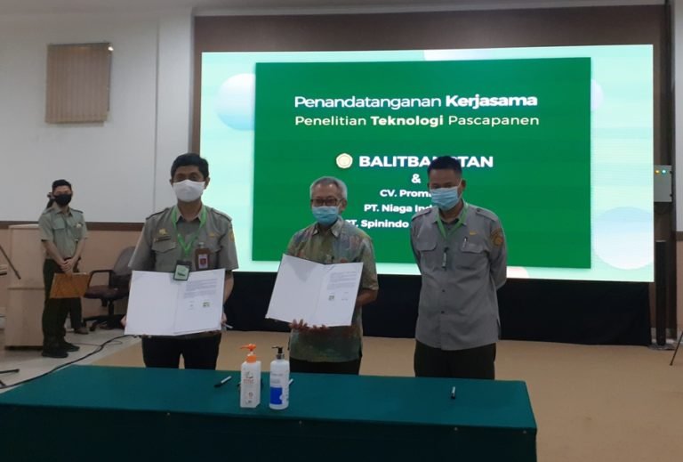 Kerjasama Pemanfaatan Teknologi Penggilingan Padi Balitbangtan untuk Produksi Beras Berkualitas