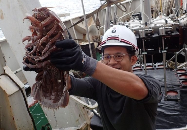 Penemuan “Kecoak Laut Raksasa” Pertama dari Laut Dalam Indonesia