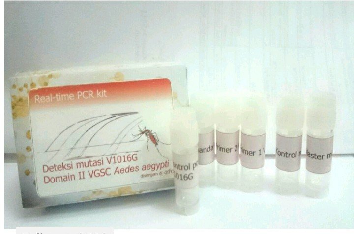 Dosen FKH UGM Kembangkan Kit Deteksi Nyamuk Aedes  Resisten Permethrin