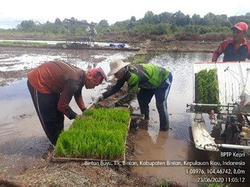 Gunakan Rice Transplanter, Petani Parit Bugis Bintan Terapkan Teknologi Pertanian