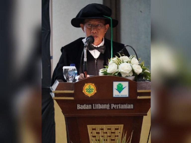 Prof. Dr. Ir. Amran Muis, MS Kembangkan Inovasi Teknologi Pengendali Penyakit Utama Jagung