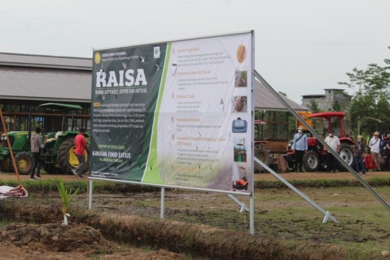 Balitbangtan Aplikasikan Teknologi RAISA di Food Estate Kalteng