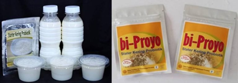 Balitbangtan Kembangkan Starter Kering Yoghurt Probiotik bi-Proyo