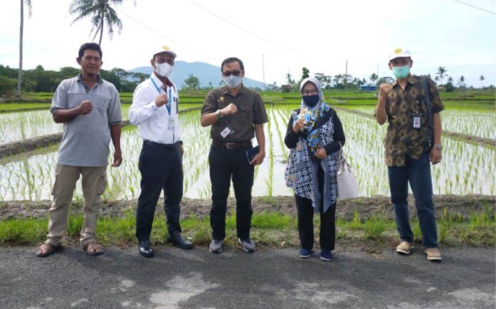 Balitbangtan Siapkan Pengembangan IP Padi 400 di Lampung