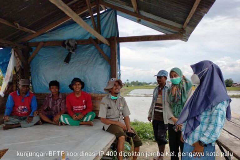 BPTP Sulteng Sosialisasi Pola Tanam IP 400 di Kota Palu