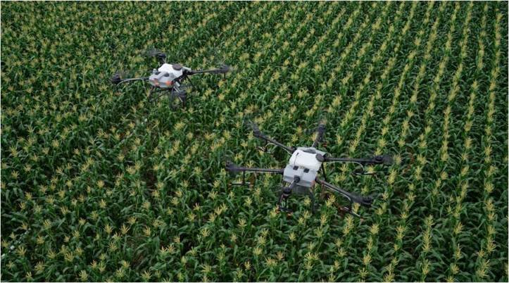DJI Agras T10 dan Agras T30, Spraying Drone untuk Pertanian