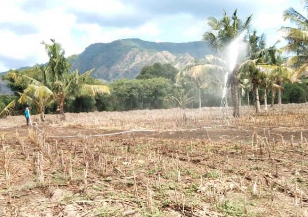 Aplikasi Irigasi Springkler pada Lahan Pertanian di Desa Senayan, Sumbawa Barat