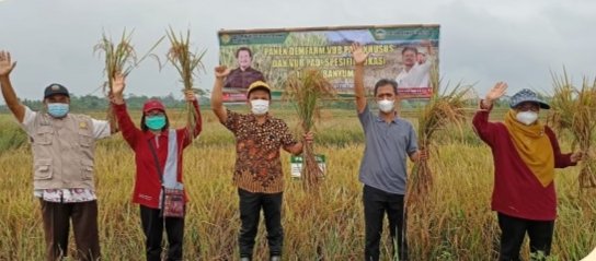 Petani Desa Karangduren Tertarik Tanam Varietas Padi Balitbangtan