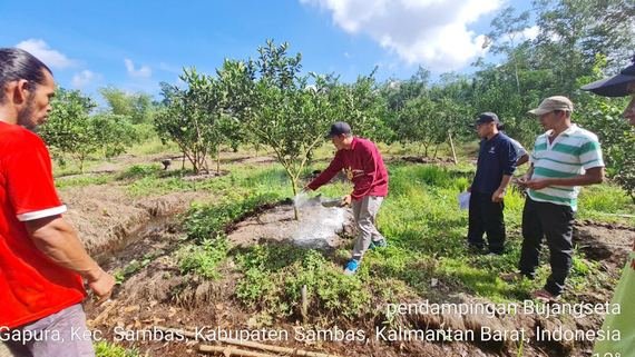 Pendampingan Penerapan Teknologi Bujangseta di Kabupaten Sambas