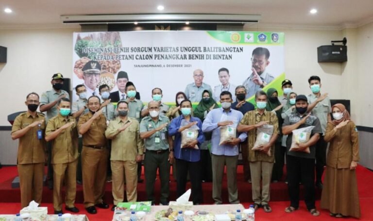 BPTP Kepri Diseminasikan Benih Sorgum Varietas Unggul Balitbangtan Pada Petani Kabupaten Bintan