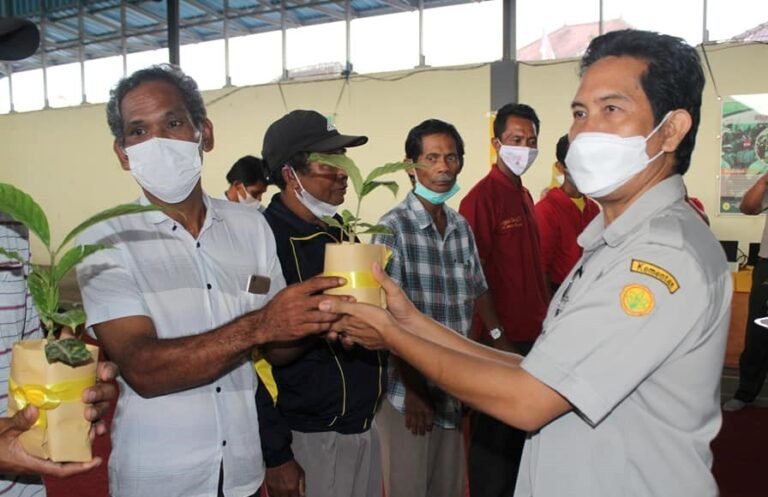 BPTP Bali Serahkan Benih Kopi BP 308 Untuk Petani Pucaksari Buleleng