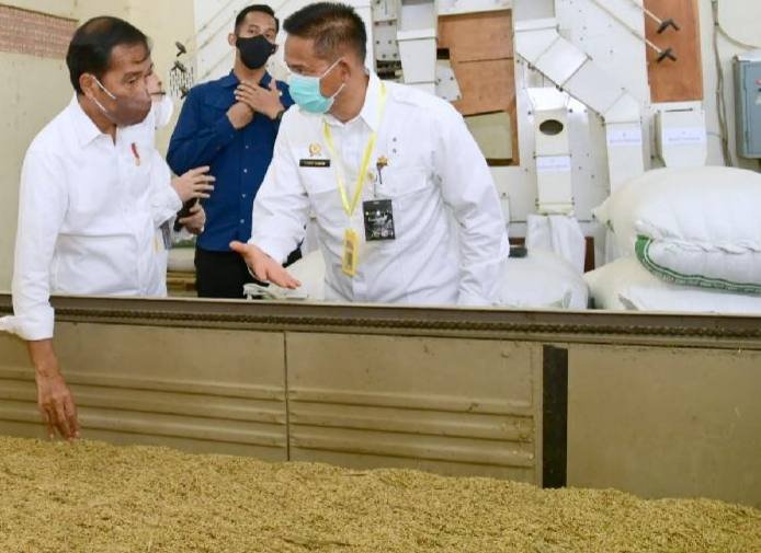 Presiden Jokowi Kunker ke BB Padi, Kementan Pastikan Sagu dan Kelapa Terus Dikembangkan