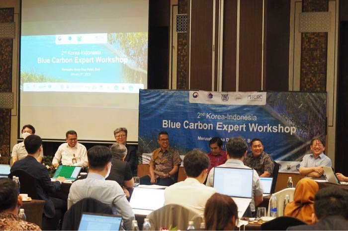 Ahli Karbon Biru Korea dan Indonesia Diskusi Jawab Tantangan Perubahan Iklim