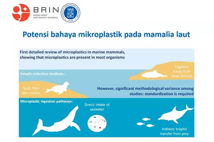 Ancaman Mikroplastik Mengintai Biota Laut dan Kehidupan Manusia
