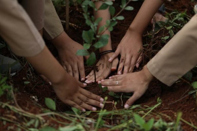 Seribu Bibit Pohon Ditanam untuk Mitigasi Pascalongsor Cihanjuang