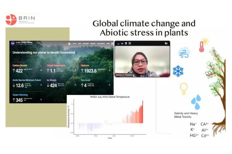 Antisipasi Dampak Perubahan Iklim, BRIN Soroti Riset Ekofisiologi dan Simbiosis Tumbuhan