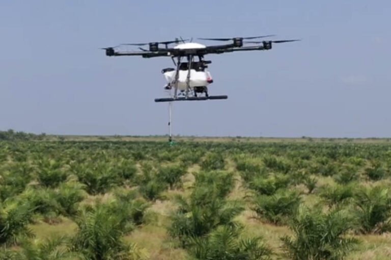 Peran AI dalam Pengembangan Drone dan Sensor di Bidang Pertanian