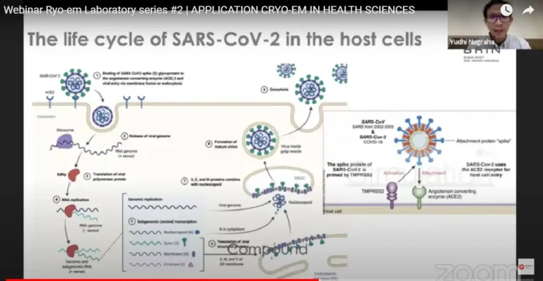 BRIN Ciptakan Antibodi Buatan Spikebodies, Cegah Infeksi SARS-CoV-2
