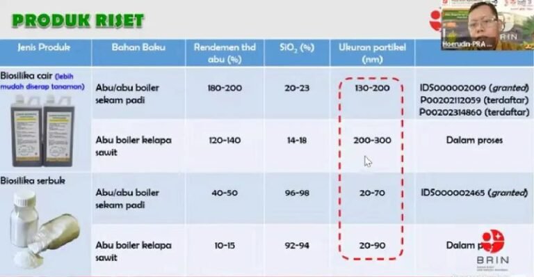 Peneliti BRIN Sulap Limbah Padi dan Kelapa Sawit Jadi Produk Biosilika