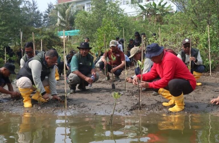 Hijaukan Pesisir Pangandaran, KKP Bersama Pemda dan Masyarakat Tanam 700 Pohon Mangrove