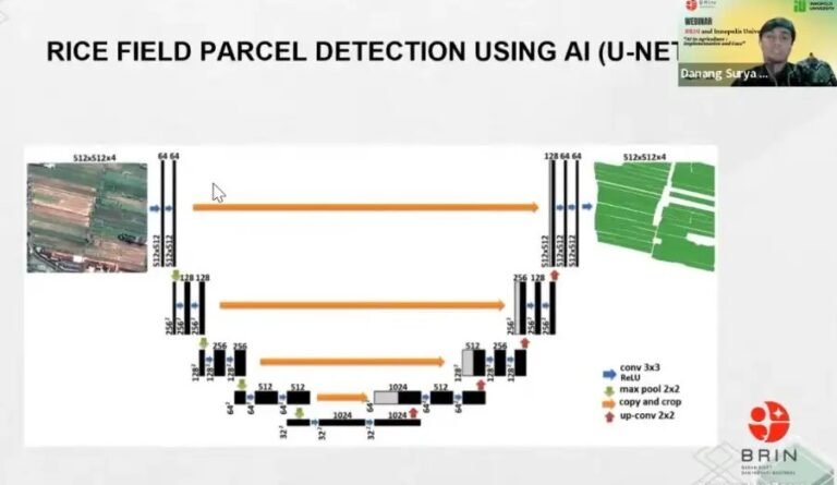 Deteksi Petak Sawah Menggunakan AI
