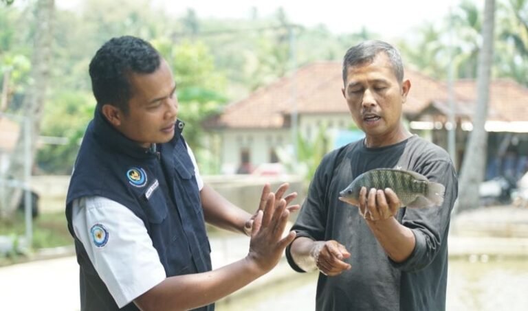 Smart Fisheries Village Kawali, Produsen Nila Inovatif di Jawa Barat