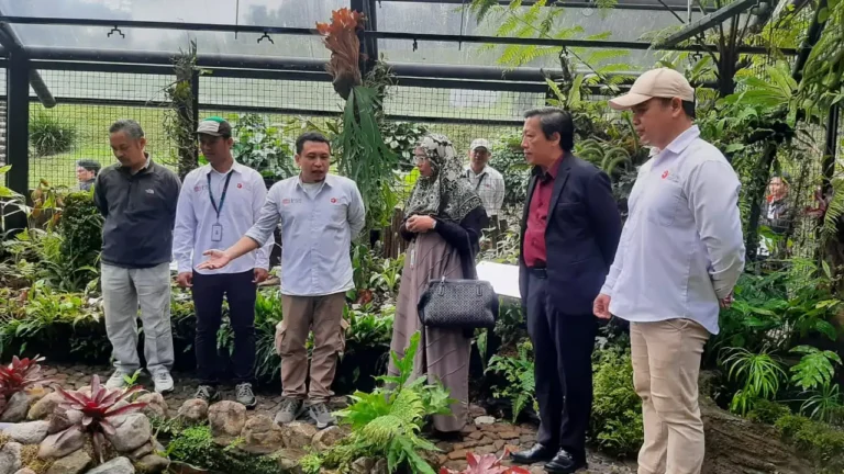 Rumah Kaca Nephentes di Kebun Raya Cibodas Kembali Dibuka untuk Umum, Miliki Koleksi 80 Jenis Kantong Semar