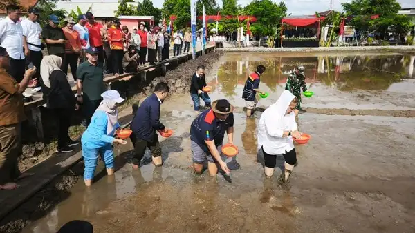 BRIN Gandeng Pemkot Semarang dan PT PGN Sebar Benih Padi Biosalin 1 dan 2