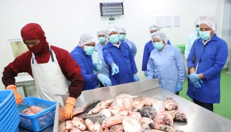 Kawal Industri Tilapia, KKP Siapkan Jaminan Mutu Program Revitalisasi Tambak Pantura